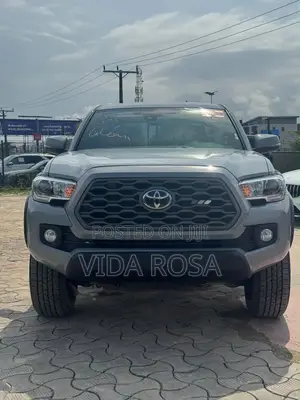 Toyota Tacoma TRD Off Road V6 4x4 Access Cab 127.4 in. WB 2020 Gray
