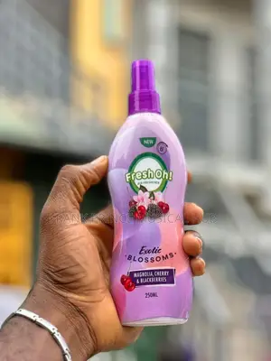 Fresh Oh Air Freshener