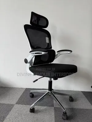 Ergonomic Office Chair With Armrest Lumber Support - White/ Black