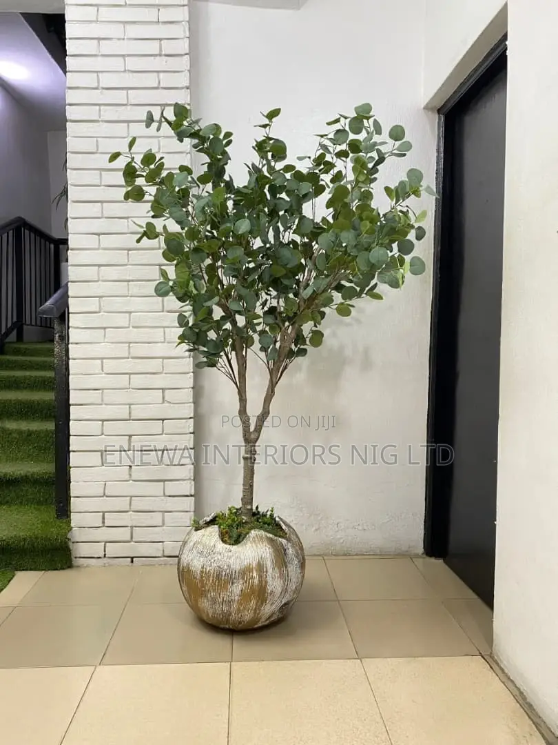Fiddle Tree And Egg Shell Vase