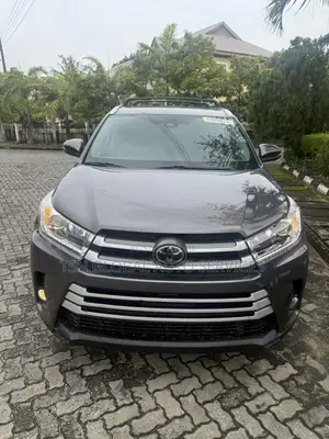 Toyota Highlander XLE 2019 Gray