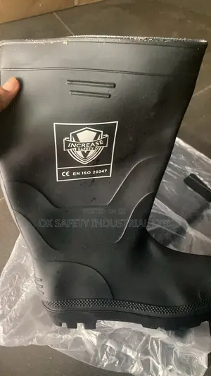 Non Safety Rainboot
