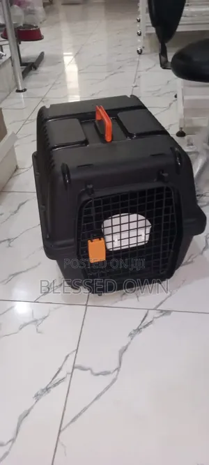 Carrier for Dog, Cats, Birds Are Available From Size 1 to 6
