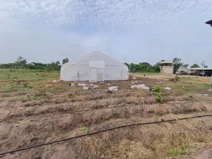 400sqm Greenhouse (Solarig/Uv Cover and Insect Net by the Side).