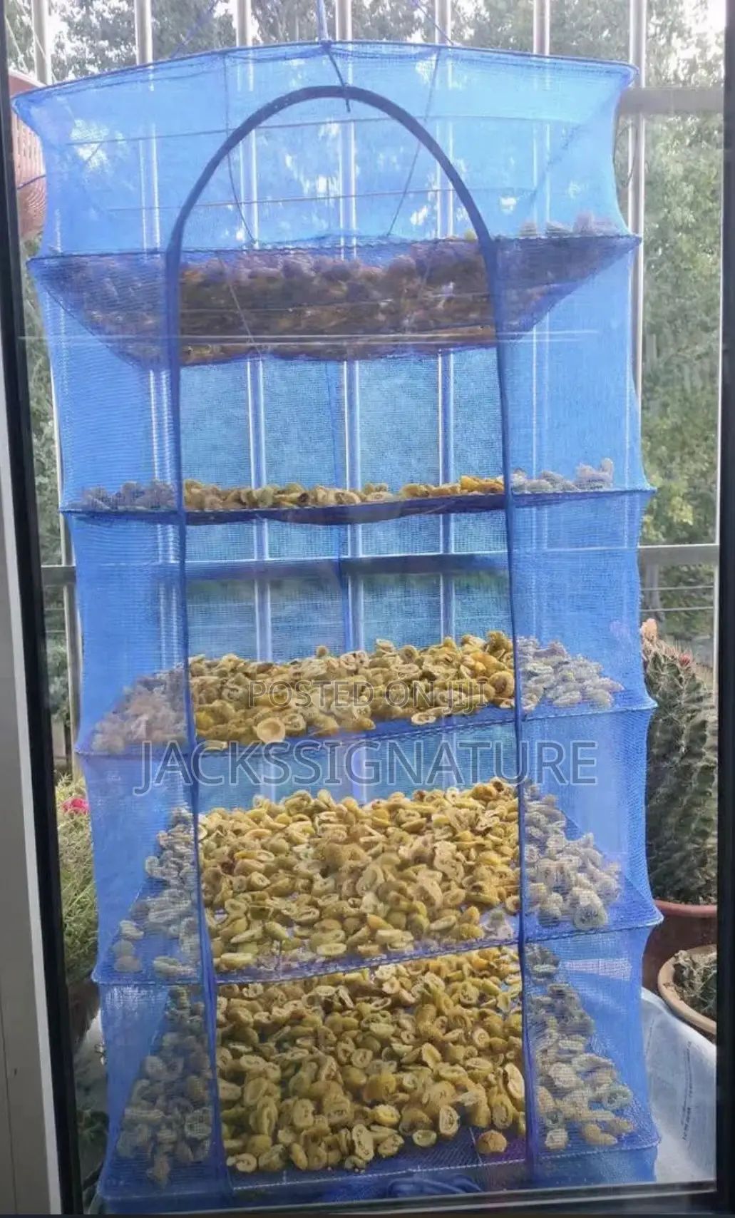 5layer Drying Net