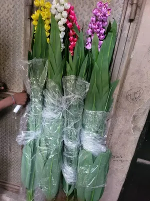 Artificial Plants Available as Seen