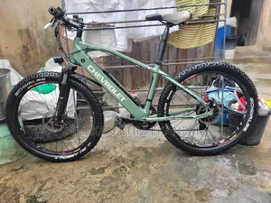 Electric Bicycle