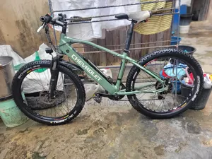 Electric Bicycle