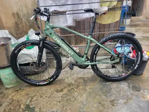 Electric Bicycle