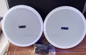 2 in 1 Bluetooth Ceiling Speaker Speaker