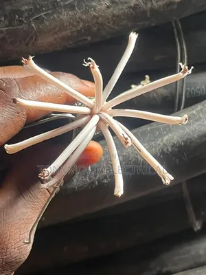 1.5mmx12core Multiple Core Armored Cable