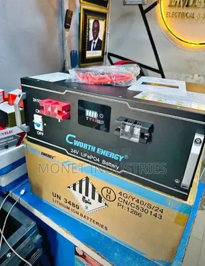 2.5kwh 24v Cworth Lithium Battery