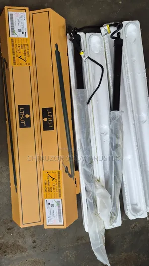 Electric Automatic Booth Shock for Lexus Rx 350 2016/2022