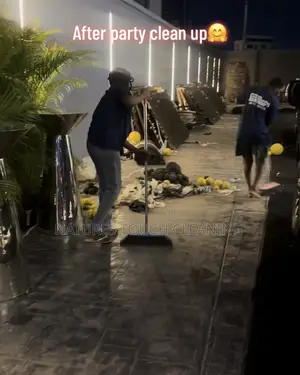 Professional Cleaning Services