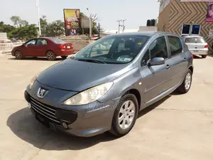 Peugeot 307 2008 Gray