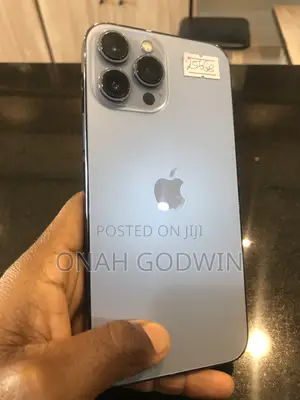 Apple iPhone 15 Pro Max 256 GB Silver