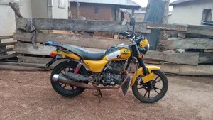 Denstar Escape 2022 Yellow