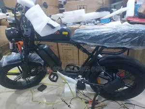 Electric Bicycle