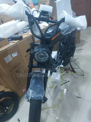 Electric Bicycle