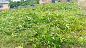 1 and 1/2 Plot for Sale at Tapa Villa, Life Forte, Apete. Ibadan