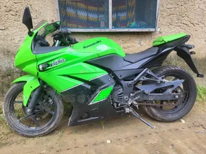 Kawasaki Ninja 300 2020 Green
