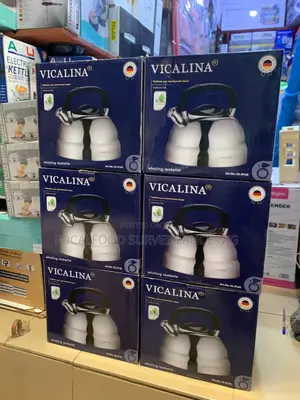 Vicalina Stainless Kettle