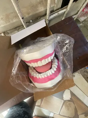 Dental Teeth Sample