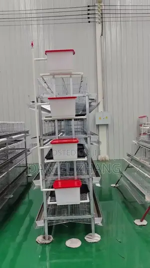 H Type 3 Tires 96 Birds Capacity Layer Cages With Manure Tray
