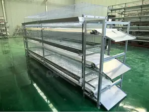 H Type Layer Cages With Manure Belt Remover