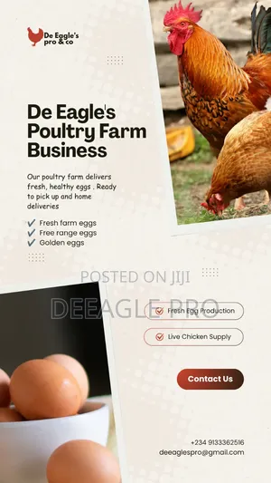 De Eagle's Pro Poultry Farm Business