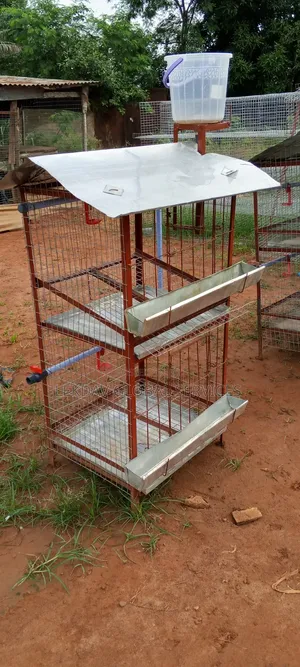 Portable Hen Cage