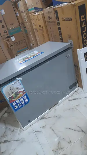 Nexus Nx-315hce 250 Liters Freezer With Easy-to-Clean Interior