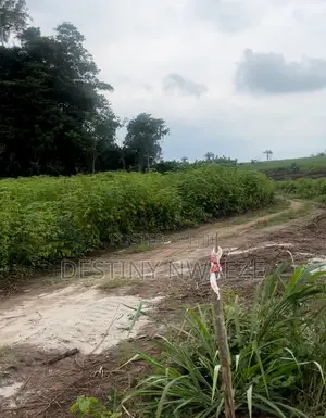600sqm Plot of Dry Land