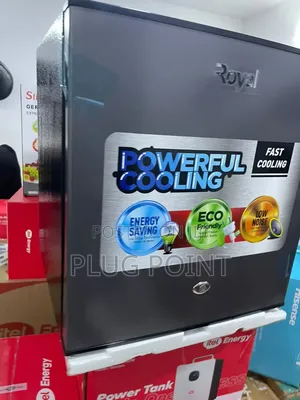 Royal 55l Mini Refrigerator With Adjustable Storage Space