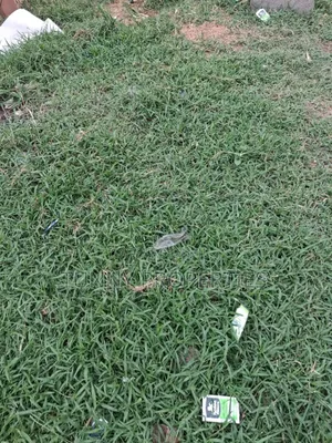 Plots, Acres and Hectares of Land for Sale