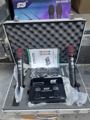 Professional Wireless Microphone