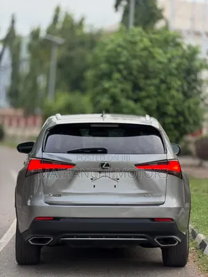 Lexus NX 2022 Gray