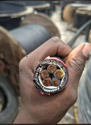 25mmx5core Armored Cable Available