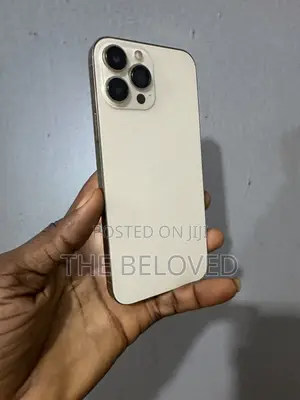 Apple iPhone 13 Pro Max 256 GB Gold