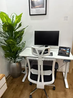 Electric Adjustable Desk With Office Chair