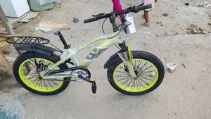 7to 15 Years Old Gv Sports Bicycle