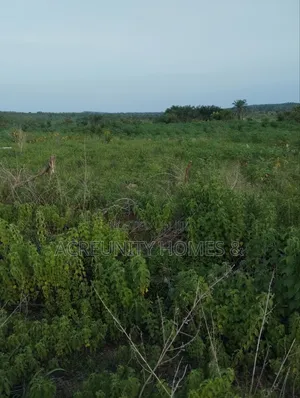 5 Acres of Land for Sale Off Sirafu Road Along Igunrin, Iseyin