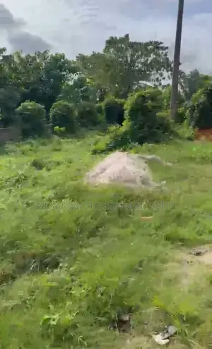 50 Plots of Land