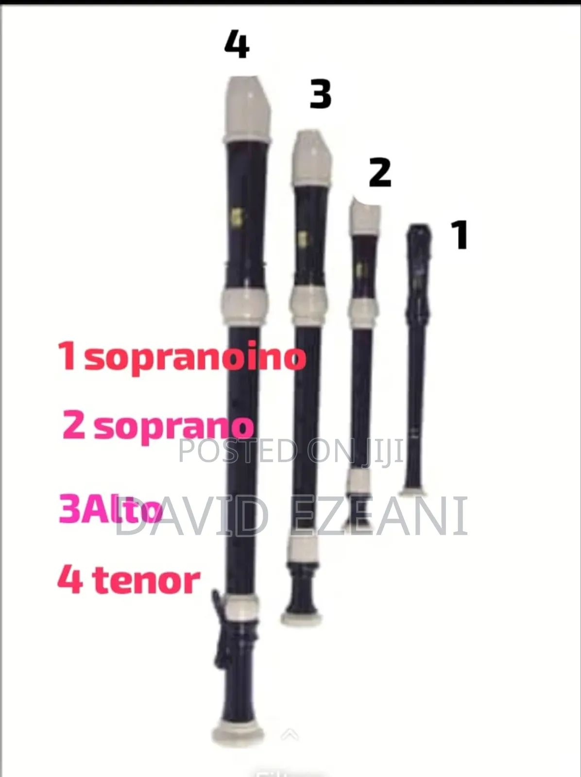 Flute And Recorder Classes