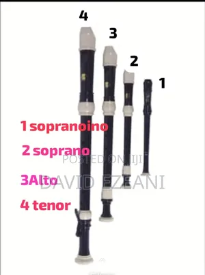 Flute And Recorder Classes