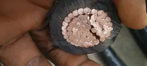 500mm Single Coleman PVC PVC Armoured Cable