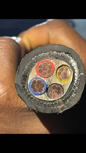 25mm 4core Cutix Armoured Cable