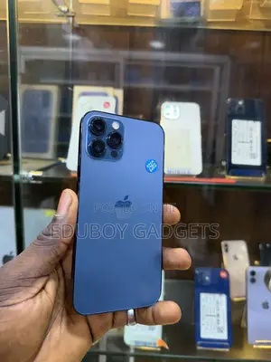Apple iPhone 12 Pro Max 256 GB Blue