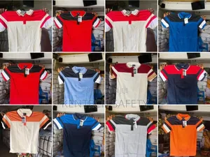 All Types of T Shirt Polo Available Dozen 12 PCS