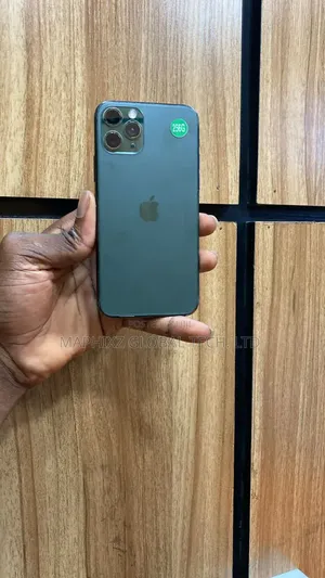 Apple iPhone 11 Pro 256 GB Gray
